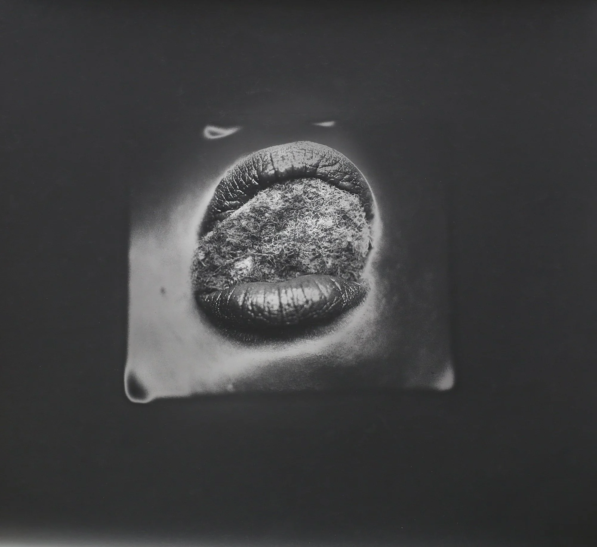 V — Ann Mandelbaum